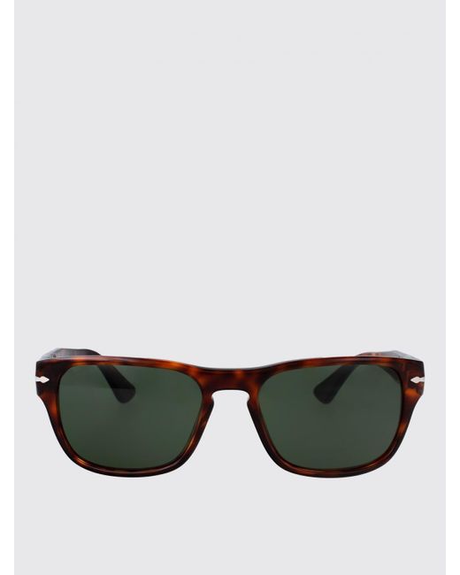 Persol Brown Acetate Sunglasses for men
