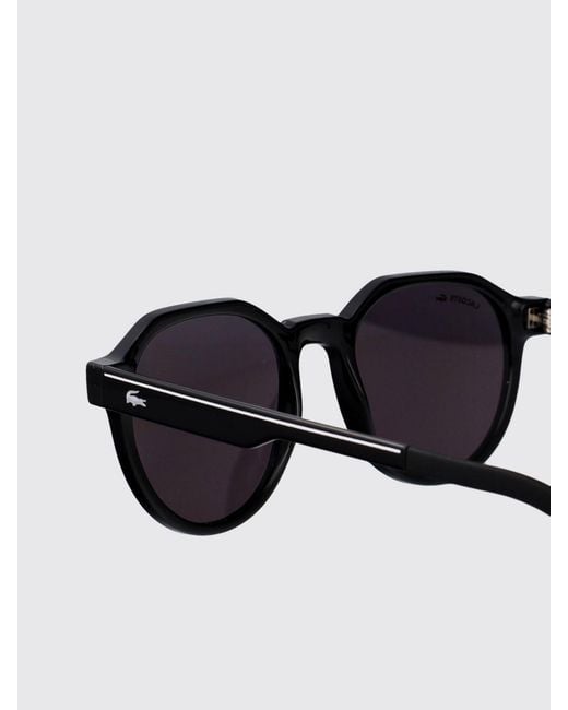Lacoste White Tortoiseshell Acetate Aviator Sunglasses With Monogram Logo for men