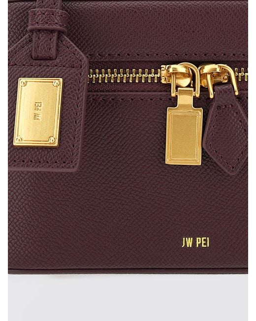 JW PEI Brown Handbag