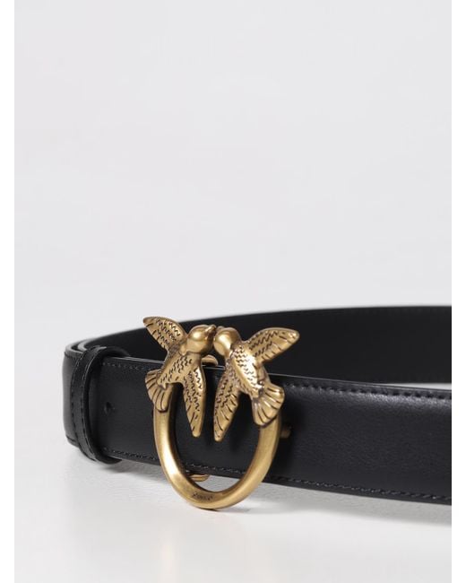 Pinko White Belt
