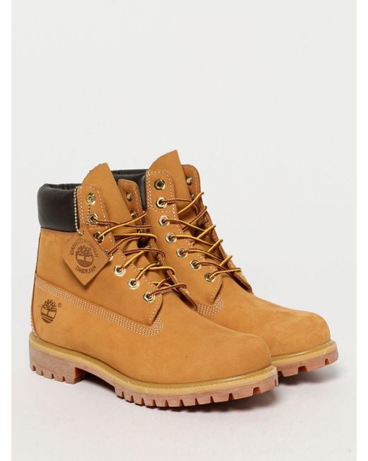 Timberland Brown Shoes for men