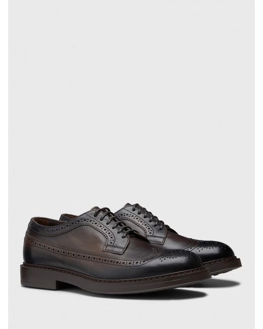 Doucal's Brown Brogue Shoes for men
