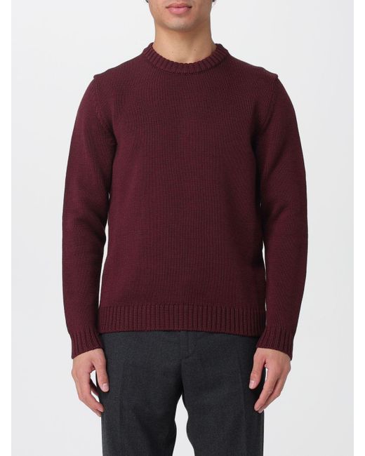 Sudadera Hombre Zanone de hombre de color Purple