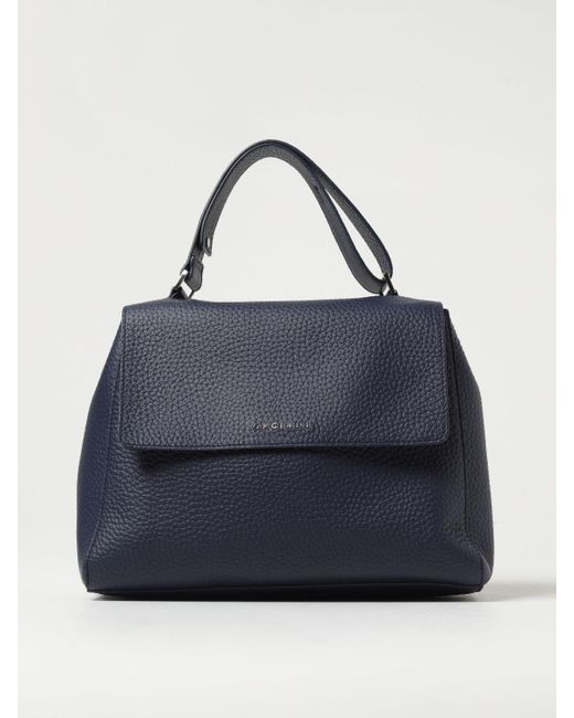 Orciani Blue Handbag
