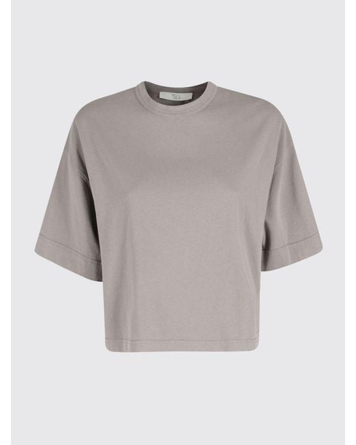 Tela Gray Basic Cotton T-Shirts