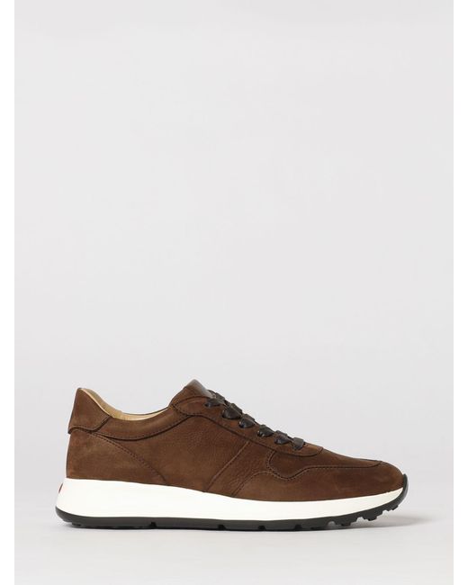 Tod's Brown Suede Sneakers for men