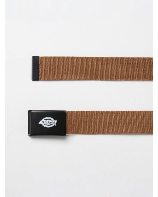 Dickies Brown Belt for men