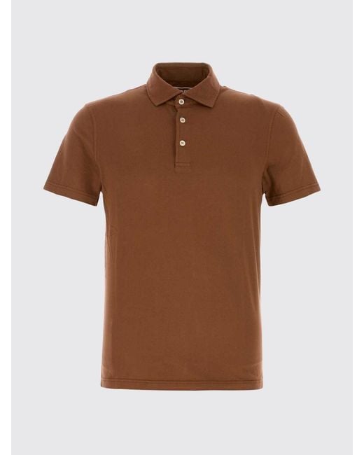 Fedeli Brown Basic Cotton Polo Shirt for men