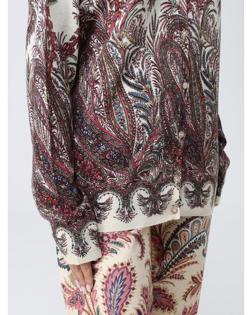 Etro Gray Jumper