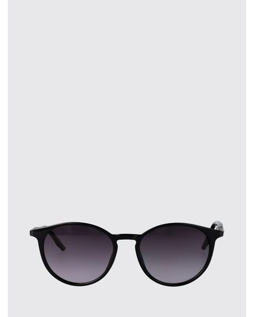Calvin Klein White Ck24539S Acetate Sunglasses for men