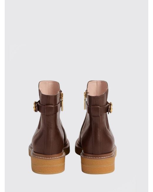 Coccinelle Brown Shoes