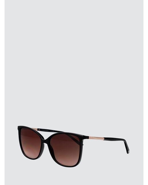 Calvin Klein Black Cat-Eye Acetate Sunglasses With Amber Lenses