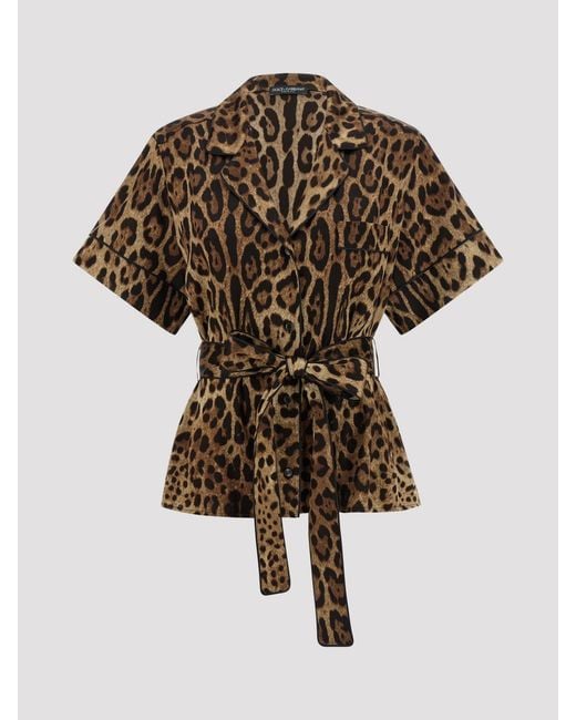 Dolce & Gabbana Brown Dolce &Amp Gabbana Animalier Silk Shirt