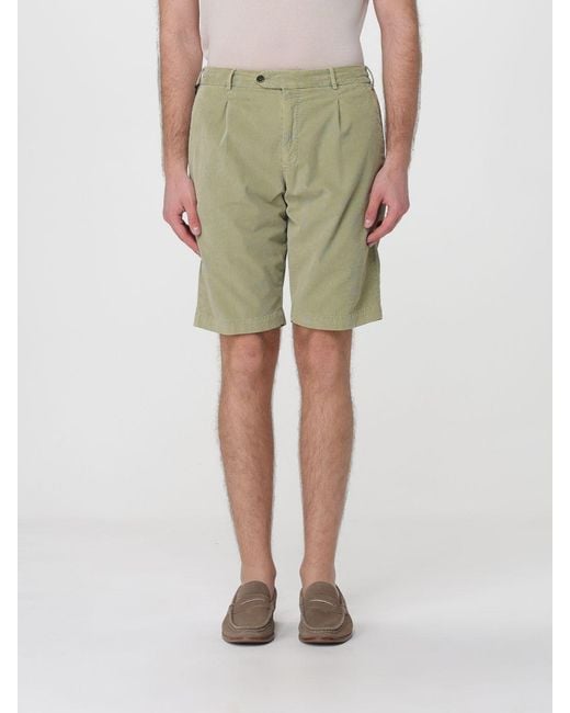 PT Torino Green Velvet Tailored Shorts for men