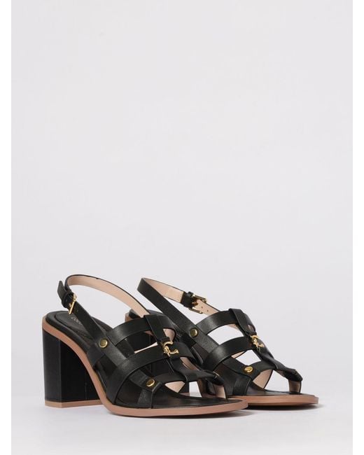 Coccinelle Black Leather Sandals