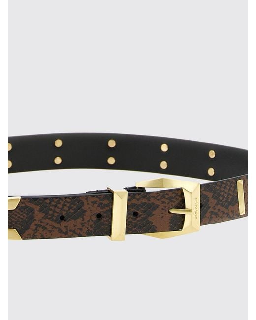Pinko White Belt