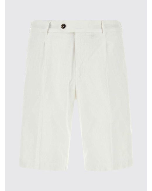 PT Torino White Velvet Tailored Shorts for men