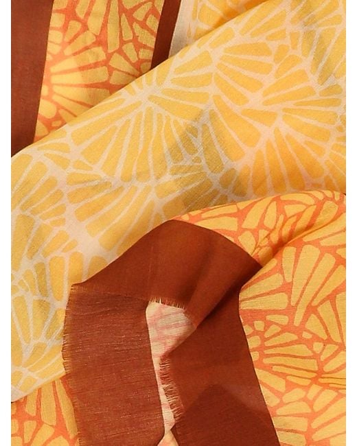 Maliparmi Orange Shawl