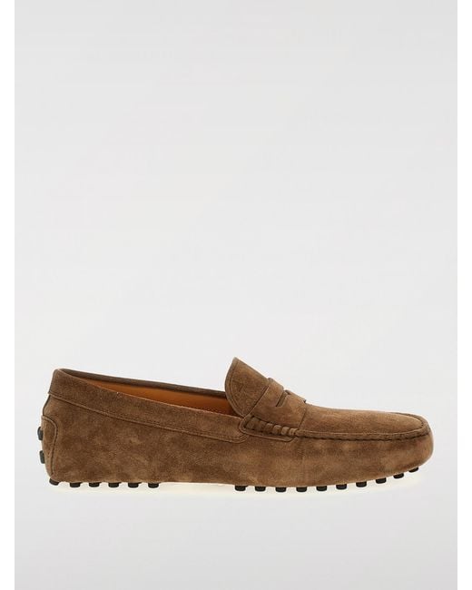 Tod's Brown Driver Suede Loafer for men