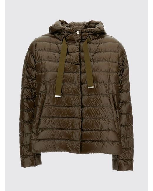 Herno Brown Coat