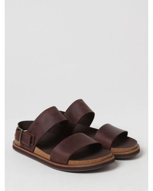 Timberland Brown Sandals for men
