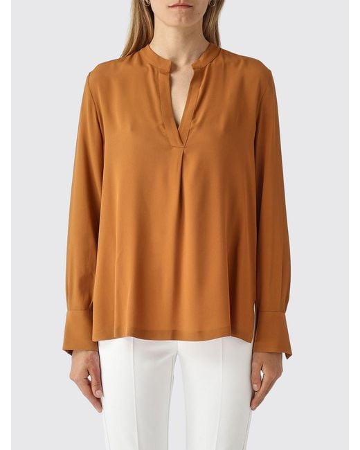Maliparmi Brown Classic Silk Blend Shirt