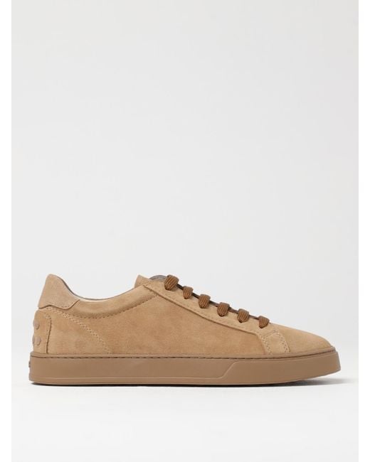 Tod's Sneakers Herren in Brown für Herren