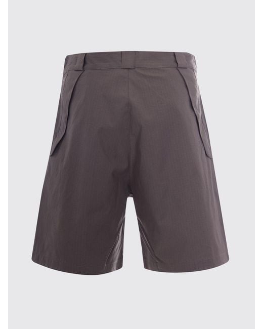 Roa Gray Cotton Chino Shorts for men