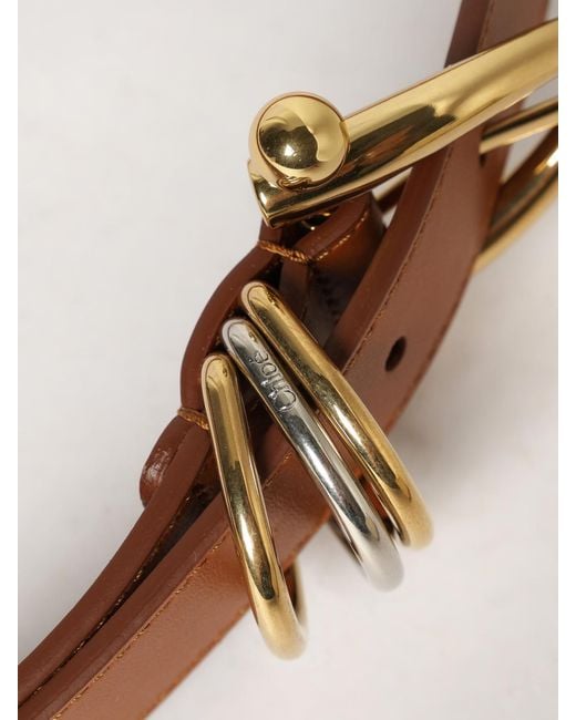 Chloé Brown ChloÉ Belt