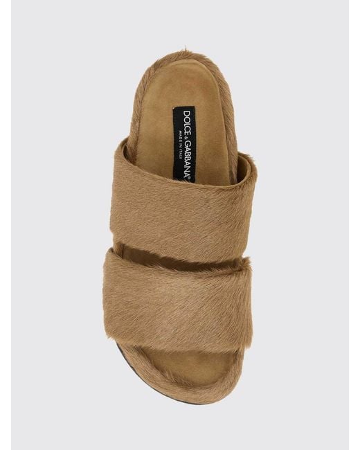 Dolce & Gabbana Brown Dolce &Amp Gabbana Sandals for men