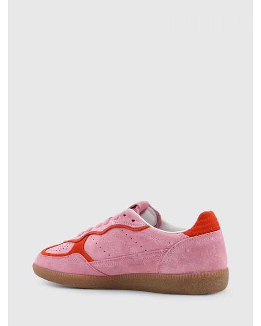 Alohas Pink Tb.490 Suede Sneakers