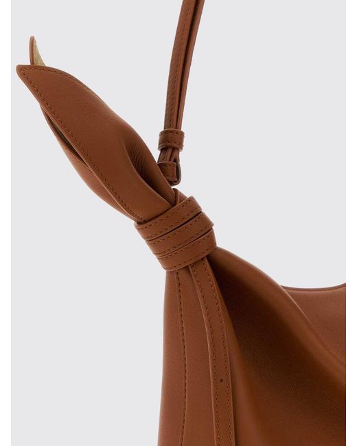 Loewe Brown Shoulder Bag