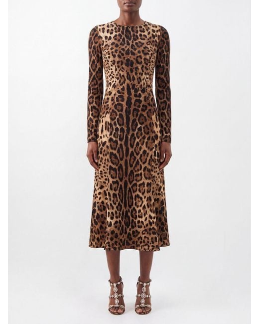 Dolce & Gabbana Brown Dolce &Amp Gabbana Long-Sleeved A-Line Midi Dress