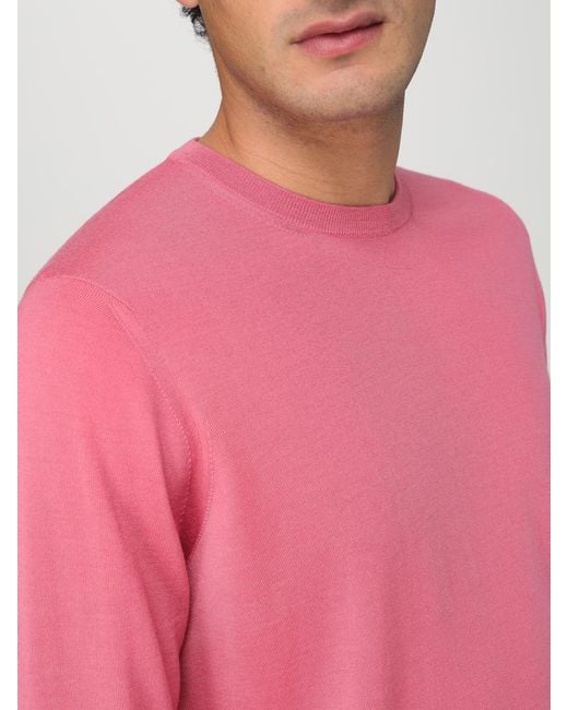 Drumohr Pink Jumper for men
