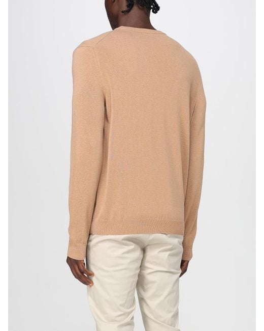 Zanone Sweatshirt Herren in Natural für Herren
