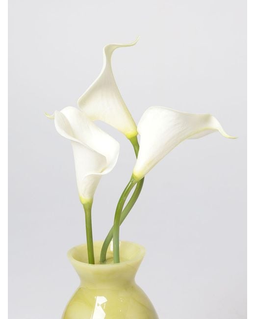 Cult Gaia White Shoulder Bag
