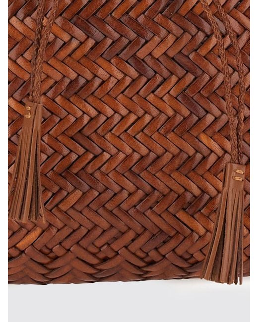 Dragon Diffusion Brown Crossbody Bag