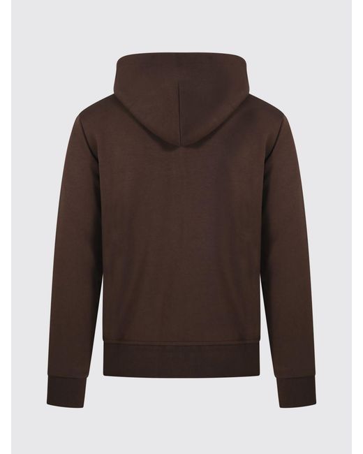 Polo Ralph Lauren Brown Cotton Hoodie for men