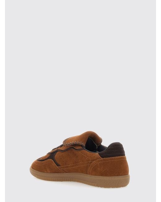 Alohas Brown Tb.490 Two-Tone Suede Sneakers With Laminated Logo