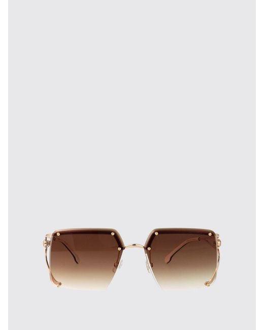 Carrera Brown Sunglasses