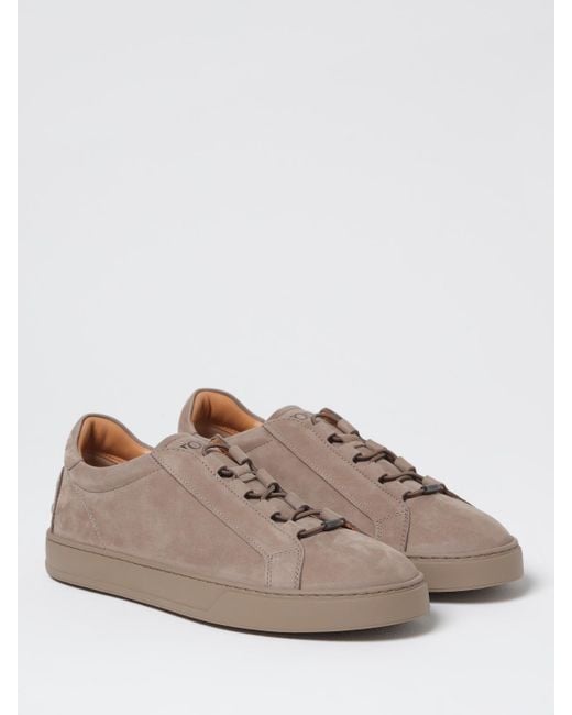 Sneakers di Tod's in Brown da Uomo