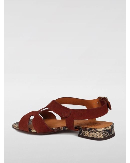 Sandales à talons Chie Mihara en coloris Brown