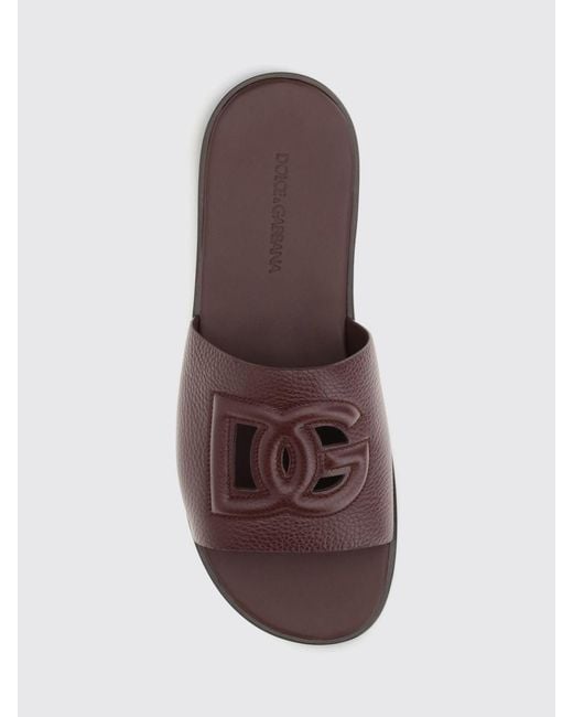 Dolce & Gabbana Brown Dolce &Amp Gabbana Sandals for men