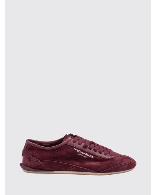 Dolce & Gabbana Purple Dolce &Amp Gabbana Lipari Suede Calfskin Sneakers With Printed Logo for men