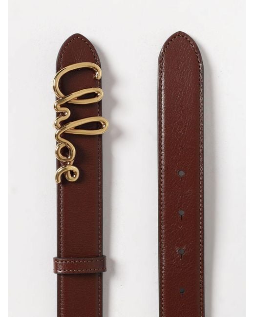 Chloé Brown ChloÉ Iconic Leather Belt