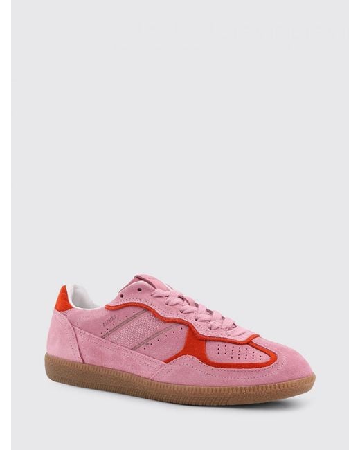 Alohas Pink Tb.490 Suede Sneakers