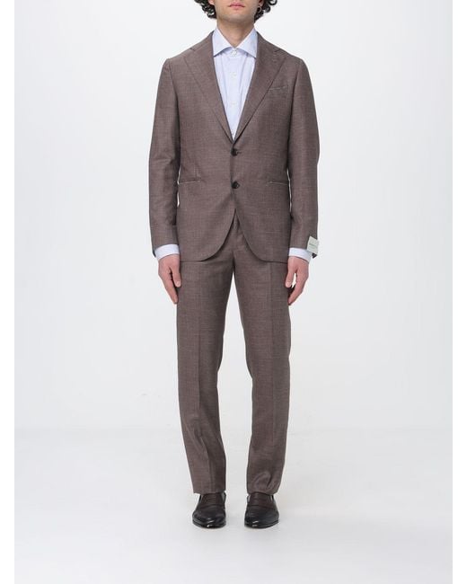 Luigi Borrelli Napoli Gray Single-Breasted Virgin Wool Blend Suit for men
