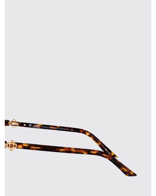 Casablanca Brown Ew-023-02 Acetate Sunglasses for men