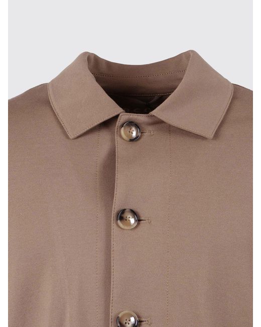 Circolo 1901 Brown Cotton Shirt Jacket for men