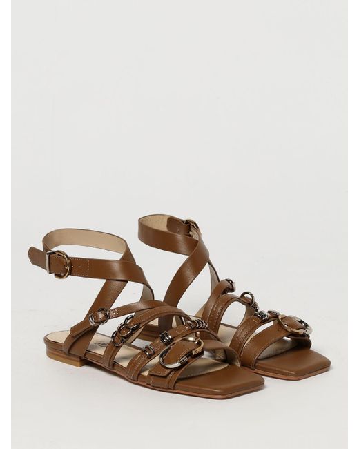 Pinko Brown Shoes